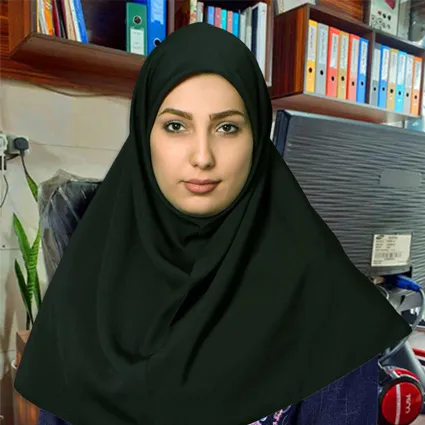 اولین طراح سایت در پاکدشت