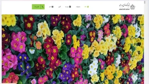 سبد بافی سلطانی